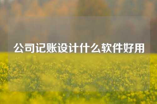 公司记账设计什么软件好用