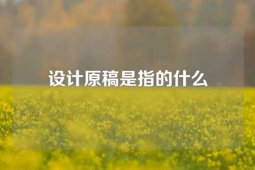 设计原稿是指的什么