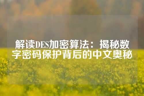 解读DES加密算法：揭秘数字密码保护背后的中文奥秘