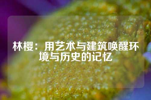 林樱：用艺术与建筑唤醒环境与历史的记忆