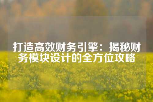 打造高效财务引擎：揭秘财务模块设计的全方位攻略