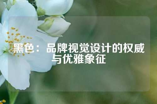 黑色：品牌视觉设计的权威与优雅象征