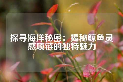 探寻海洋秘密：揭秘鲸鱼灵感项链的独特魅力