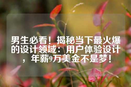 男生必看！揭秘当下最火爆的设计领域：用户体验设计，年薪9万美金不是梦！