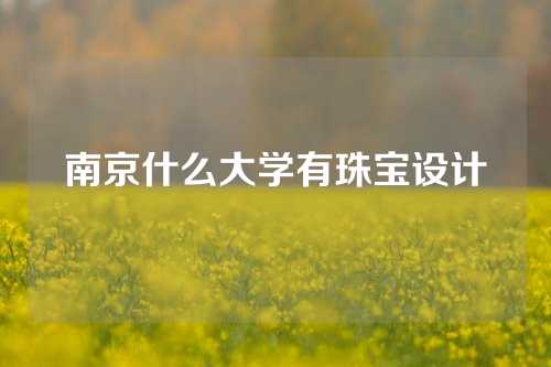 南京什么大学有珠宝设计