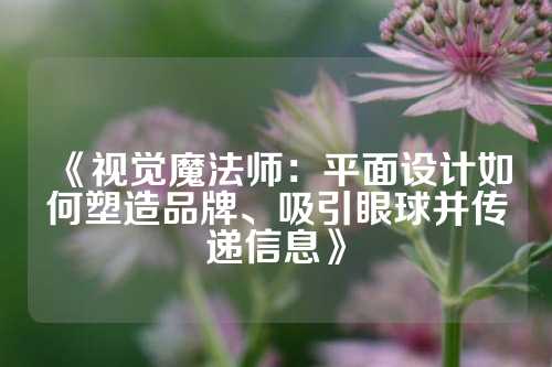 《视觉魔法师：平面设计如何塑造品牌、吸引眼球并传递信息》