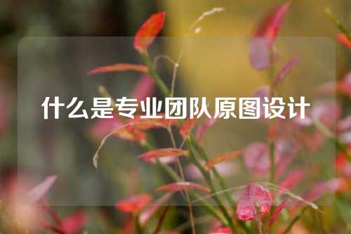 什么是专业团队原图设计