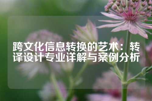 跨文化信息转换的艺术：转译设计专业详解与案例分析