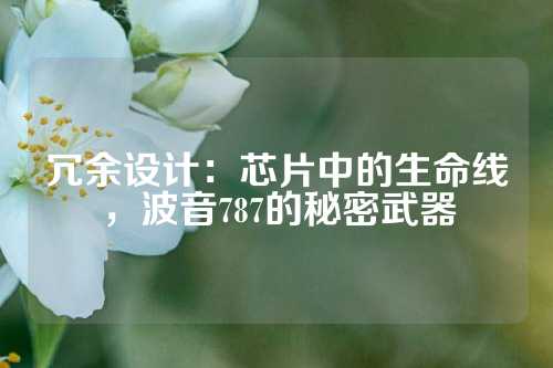 冗余设计：芯片中的生命线，波音787的秘密武器