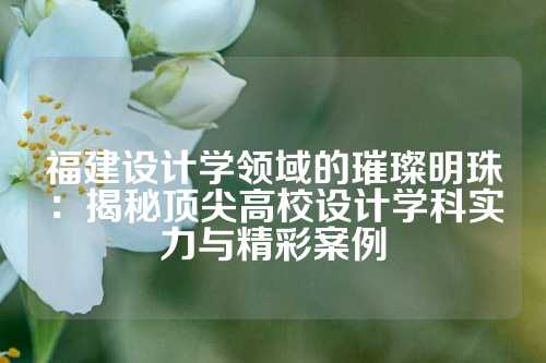 福建设计学领域的璀璨明珠：揭秘顶尖高校设计学科实力与精彩案例