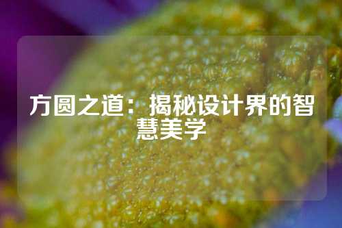 方圆之道：揭秘设计界的智慧美学