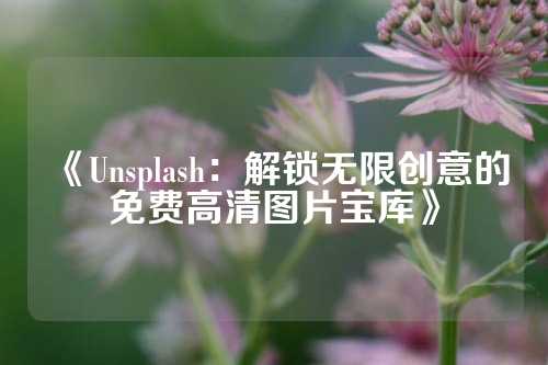 《Unsplash：解锁无限创意的免费高清图片宝库》