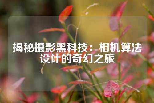 揭秘摄影黑科技：相机算法设计的奇幻之旅