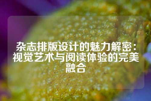 杂志排版设计的魅力解密:视觉艺术与阅读体验的完美融合