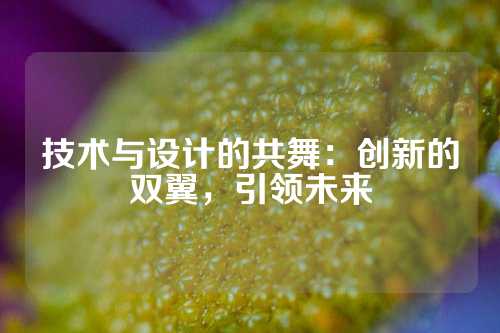 技术与设计的共舞：创新的双翼，引领未来