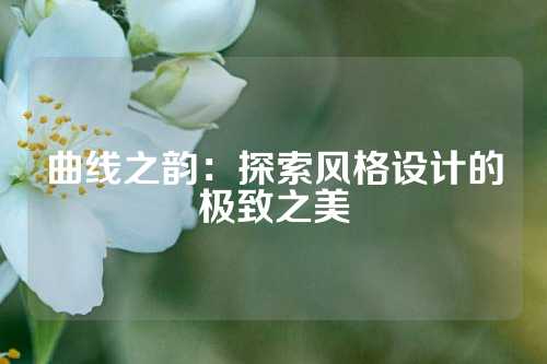 曲线之韵:探索风格设计的极致之美