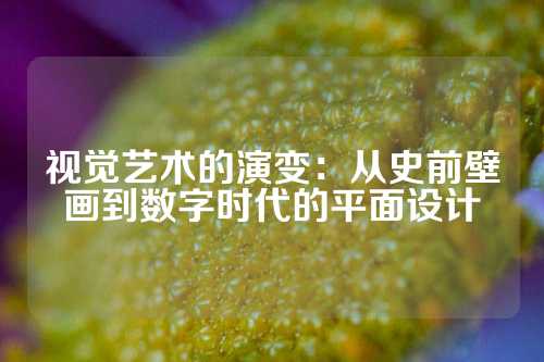 视觉艺术的演变：从史前壁画到数字时代的平面设计