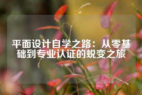 平面设计自学之路：从零基础到专业认证的蜕变之旅