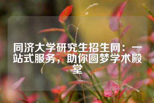 同济大学研究生招生网：一站式服务，助你圆梦学术殿堂