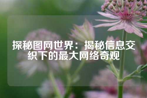 探秘图网世界:揭秘信息交织下的最大网络奇观