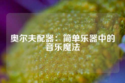 奥尔夫配器:简单乐器中的音乐魔法
