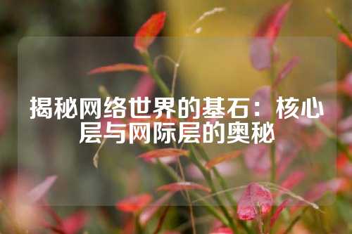 揭秘网络世界的基石：核心层与网际层的奥秘