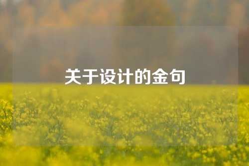 关于设计的金句