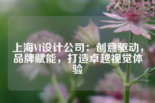 上海VI设计公司：创意驱动，品牌赋能，打造卓越视觉体验