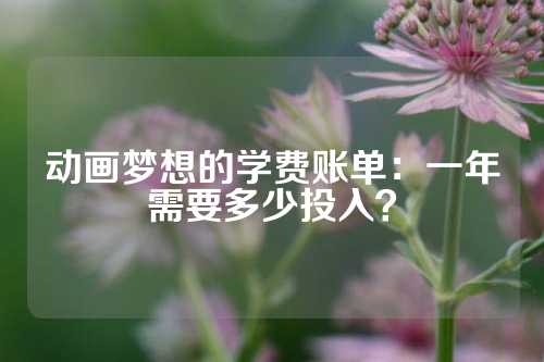 动画梦想的学费账单：一年需要多少投入？