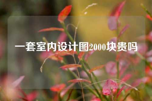 一套室内设计图2000块贵吗