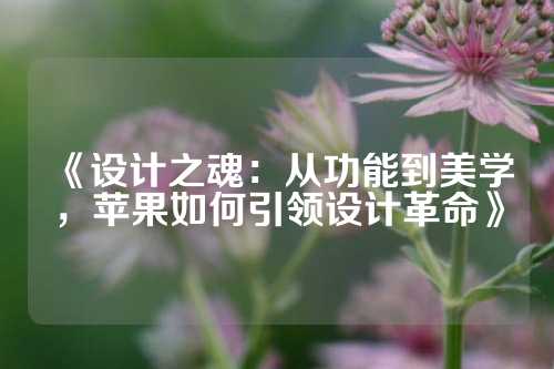 《设计之魂：从功能到美学，苹果如何引领设计革命》