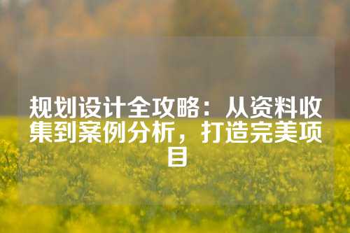 规划设计全攻略：从资料收集到案例分析，打造完美项目