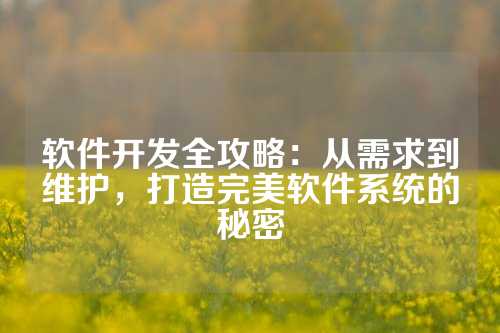 软件开发全攻略：从需求到维护，打造完美软件系统的秘密