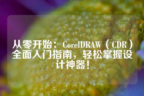 从零开始：CorelDRAW（CDR）全面入门指南，轻松掌握设计神器！