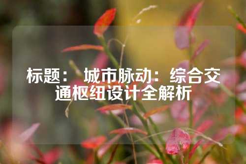 标题： 城市脉动：综合交通枢纽设计全解析