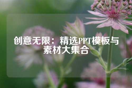 创意无限：精选PPT模板与素材大集合