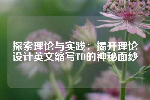探索理论与实践：揭开理论设计英文缩写TD的神秘面纱