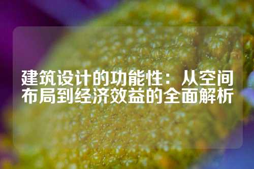 建筑设计的功能性：从空间布局到经济效益的全面解析