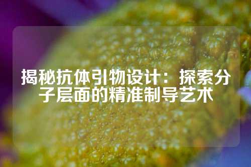 揭秘抗体引物设计：探索分子层面的精准制导艺术