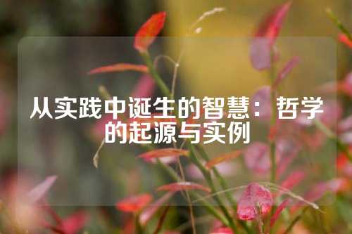 从实践中诞生的智慧：哲学的起源与实例