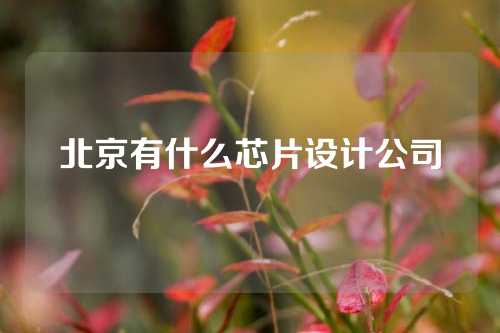北京有什么芯片设计公司