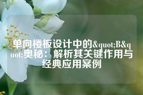 单向楼板设计中的"B"奥秘：解析其关键作用与经典应用案例