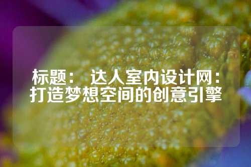 标题： 达人室内设计网：打造梦想空间的创意引擎