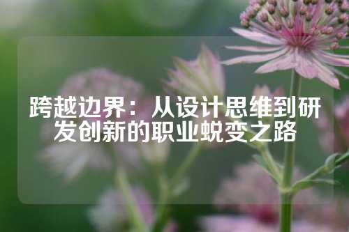 跨越边界：从设计思维到研发创新的职业蜕变之路