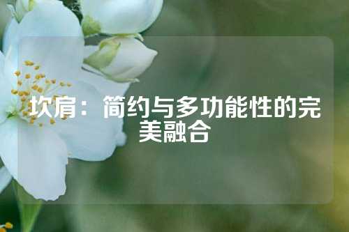 坎肩：简约与多功能性的完美融合