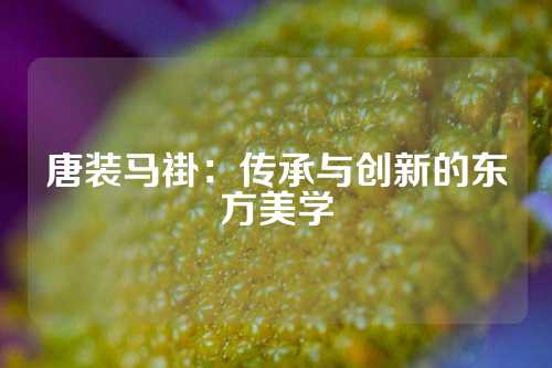 唐装马褂：传承与创新的东方美学