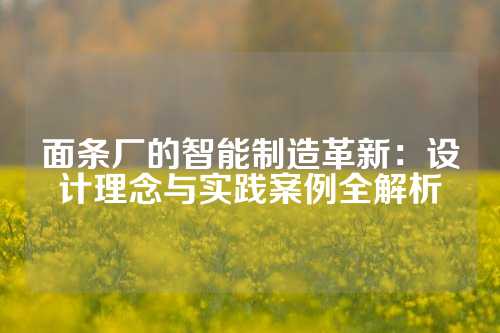 面条厂的智能制造革新：设计理念与实践案例全解析