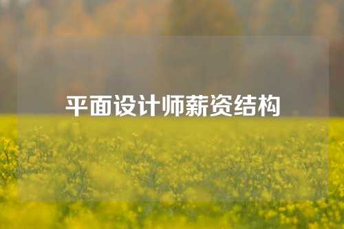 平面设计师薪资结构