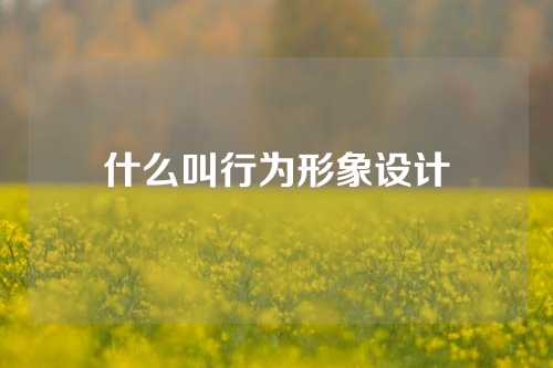 什么叫行为形象设计