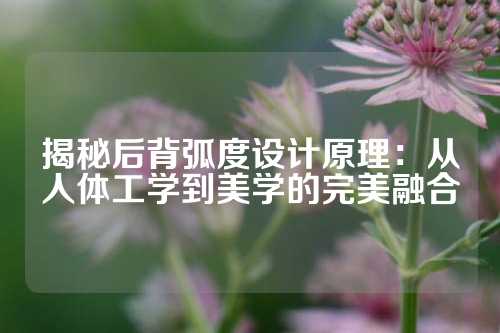 揭秘后背弧度设计原理：从人体工学到美学的完美融合
